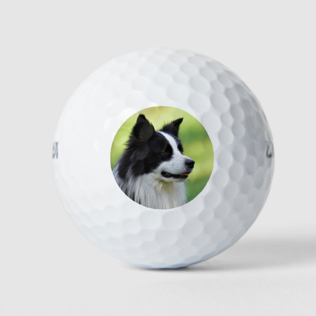 Black and White Border Collie Dog Golf Balls (Front)