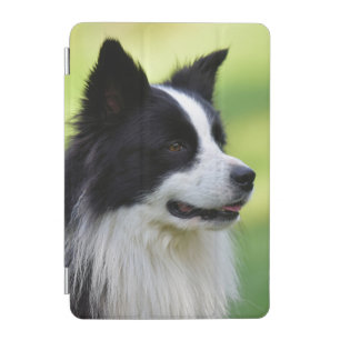 Black and White Border Collie Dog iPad Mini Cover