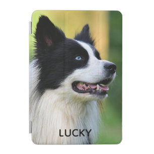 Black and White Border Collie Dog iPad Mini Cover
