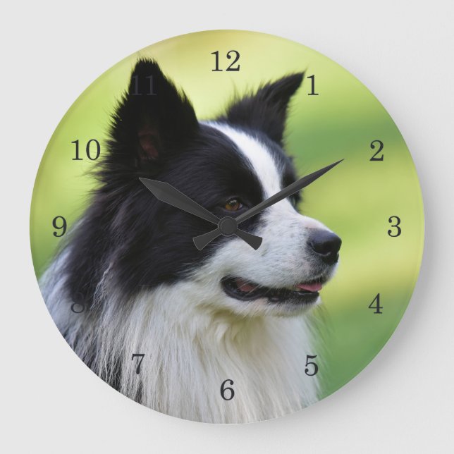 Black and White Border Collie Dog Large Clock (Front)