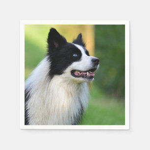 Black and White Border Collie Dog Napkins