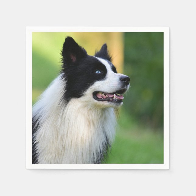 Black and White Border Collie Dog Napkins (Front)