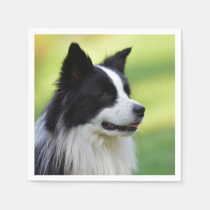 Black and White Border Collie Dog Napkins