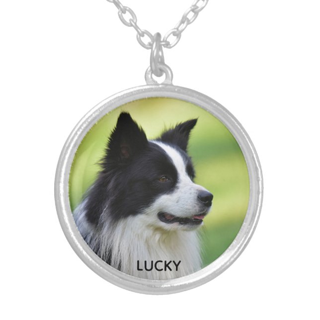 Black and White Border Collie Dog Silver Plated Necklace (Front)