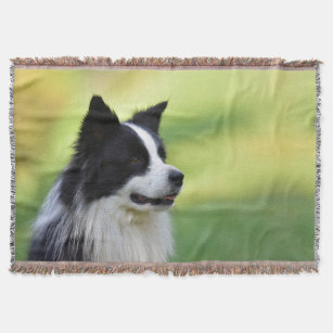 border collie throw blanket