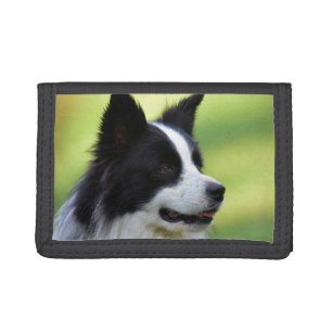 Black and White Border Collie Dog Trifold Wallet
