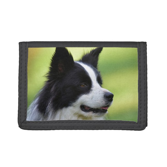 Black and White Border Collie Dog Trifold Wallet (Front)