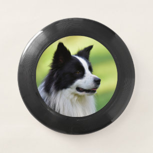 Black and White Border Collie Dog Wham-O Frisbee