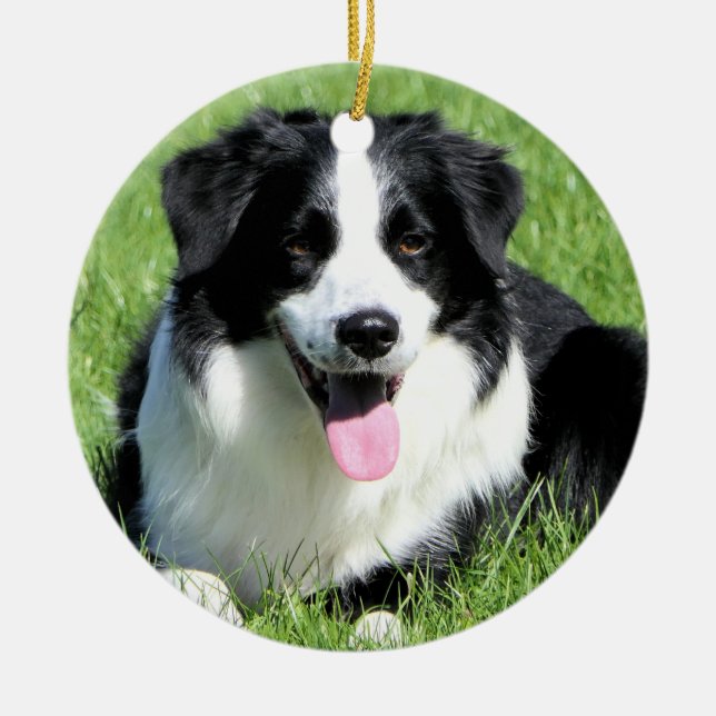 Black and White Border Collie in the Grass Ceramic Ornament (Front)