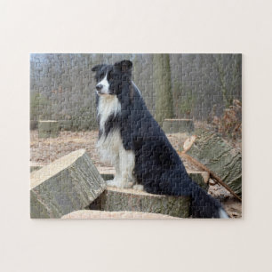 Black and White Border Collie Jigsaw Puzzle