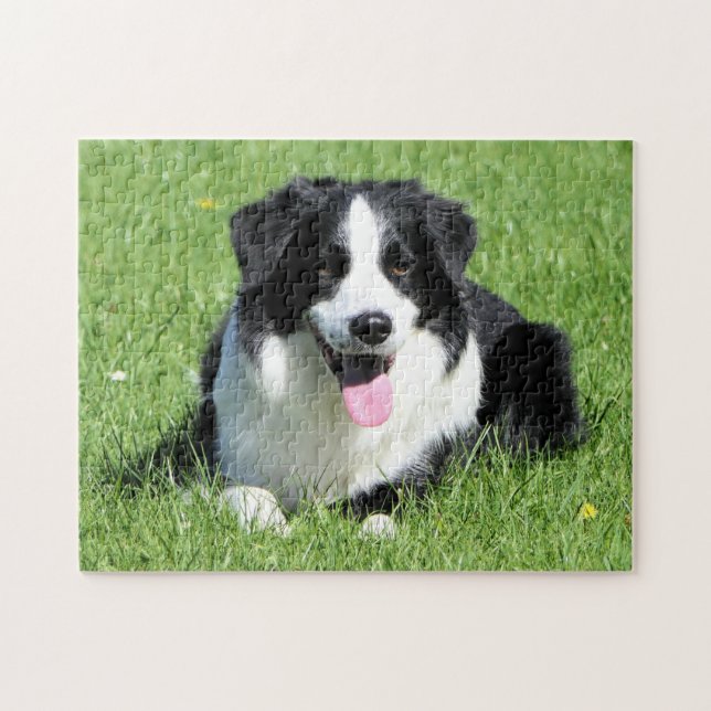 Black and White Border Collie Jigsaw Puzzle (Horizontal)