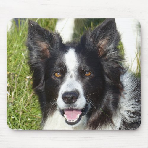 Black and White Border Collie Mouse Pad