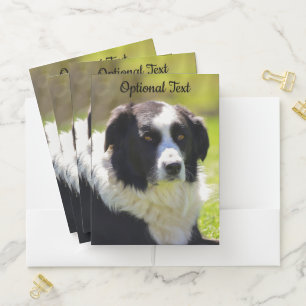 Black and White Border Collie Pocket Folder