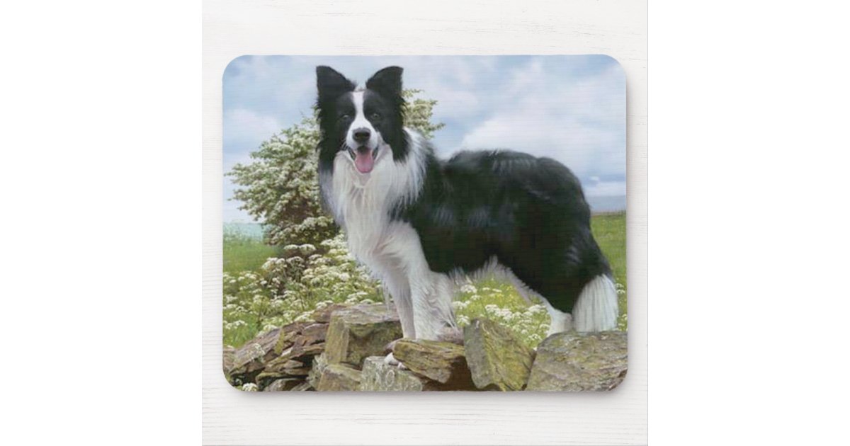 Black And White Border Collie Puppy Dog Mousepad Zazzle Com