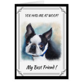 BLACK AND WHITE BOSTON TERRIER (Front)