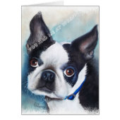 BLACK AND WHITE BOSTON TERRIER (Front)