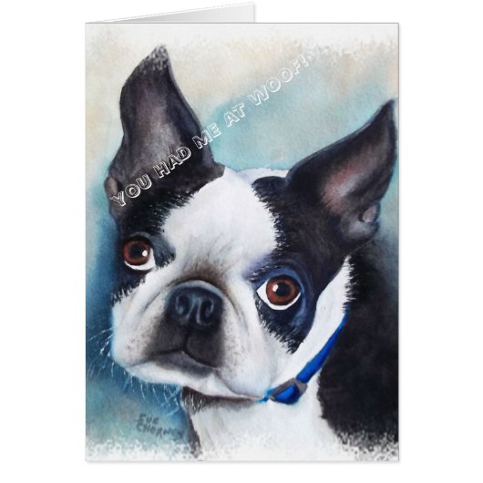 BLACK AND WHITE BOSTON TERRIER CARDS (Front)