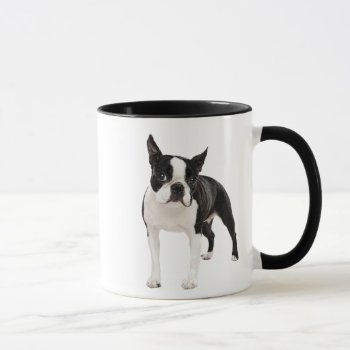 Black And White Boston Terrier Cup Mug by LATENA at Zazzle