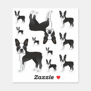Black And White Boston Terrier Dog Illustrations Sticker