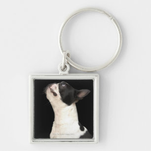 Black and white Boston Terrier looking up Keychain