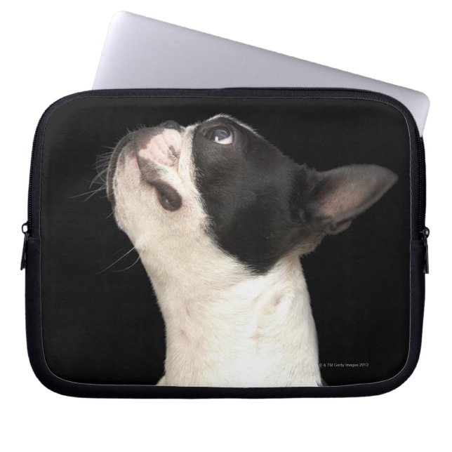 Black and white Boston Terrier looking up Laptop Sleeve (Front)