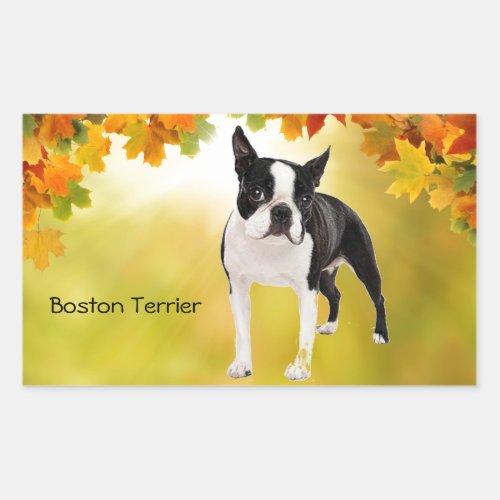 Black and White Boston Terrier Rectangular Sticker