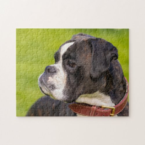 Black and white boxer dog jigsaw puzzle