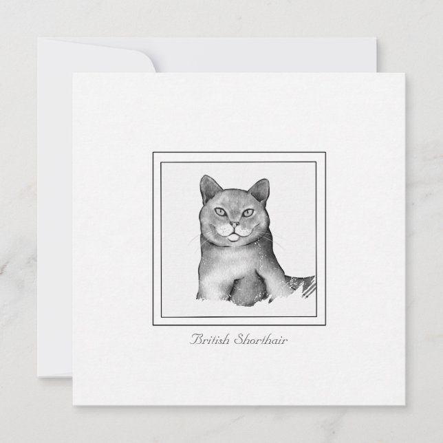 Black and White British Shorthair Cat Drawing Note Card (Front)