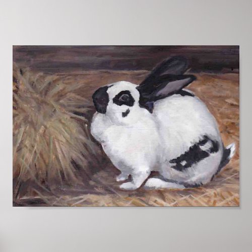 Black and White Bunny Rabbit Animal Art Print