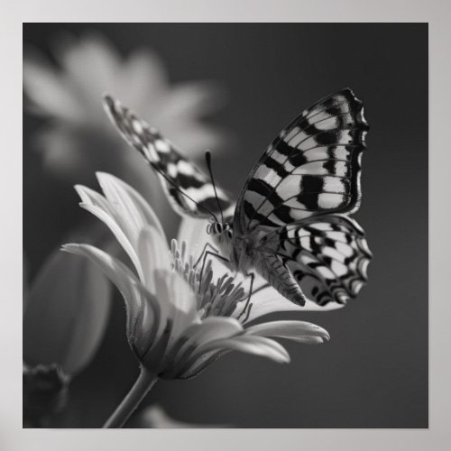 Black and White Butterfly and Flower Poster