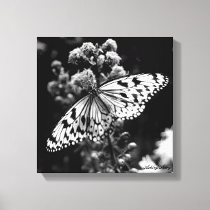 Black and White Butterfly Canvas Print