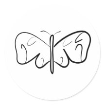 black and white butterfly