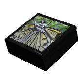 Black and White Butterfly Close Up Keepsake Box (Side)