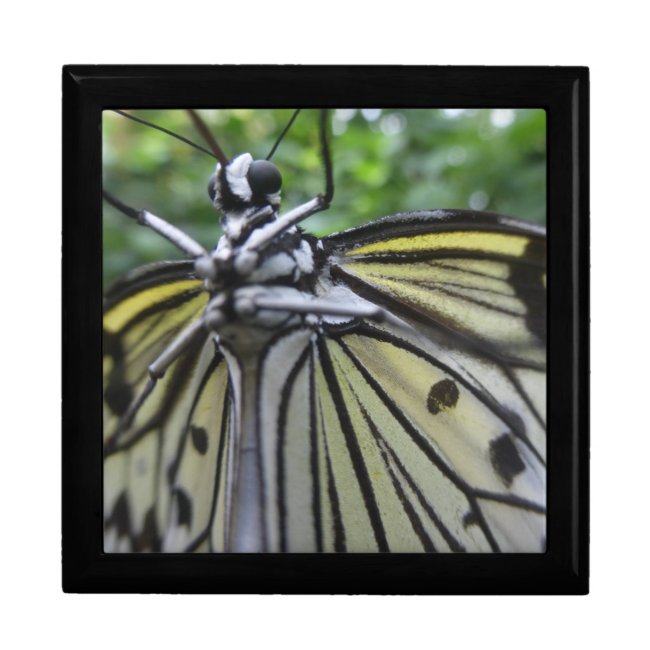 Black and White Butterfly Close Up Keepsake Box