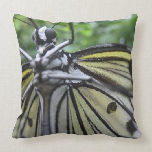 Black and White Butterfly Close Up Throw Pillow