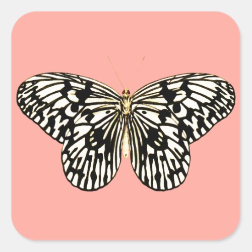 Black and white butterflycoral pink background square sticker