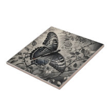 Black and white butterfly drawing