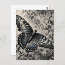 Black and white butterfly drawing