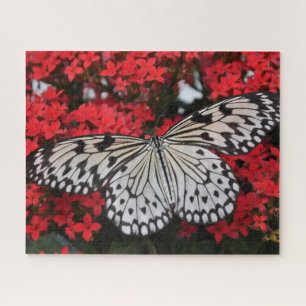 Black and White Butterfly in Red Flower Bush Jigsaw Puzzle