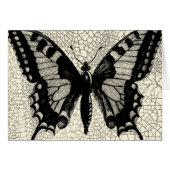 Black and White Butterfly on Cracked Background (Front Horizontal)
