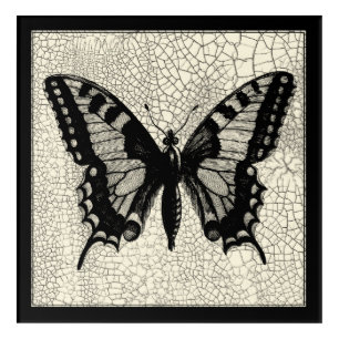 Black and White Butterfly on Cracked Background Acrylic Print