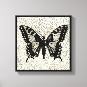 Black and White Butterfly on Cracked Background Canvas Print