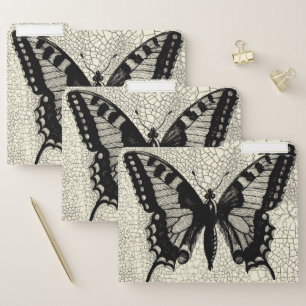 Black and White Butterfly on Cracked Background File Folder