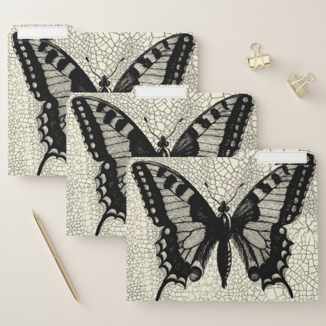 Black and White Butterfly on Cracked Background File Folder (Set)