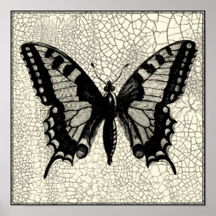 Black and White Butterfly on Cracked Background Poster