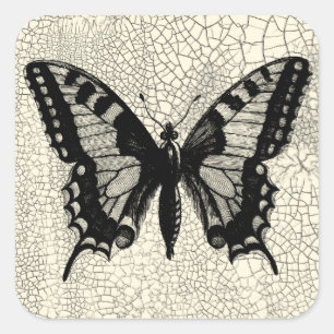 Black and White Butterfly on Cracked Background Square Sticker