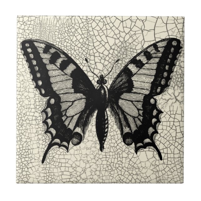 Black and White Butterfly on Cracked Background Tile (Front)