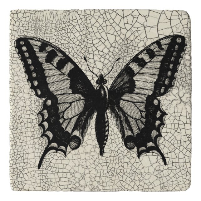 Black and White Butterfly on Cracked Background Trivet (Front)