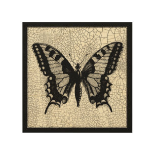 Black and White Butterfly on Cracked Background Wood Wall Art