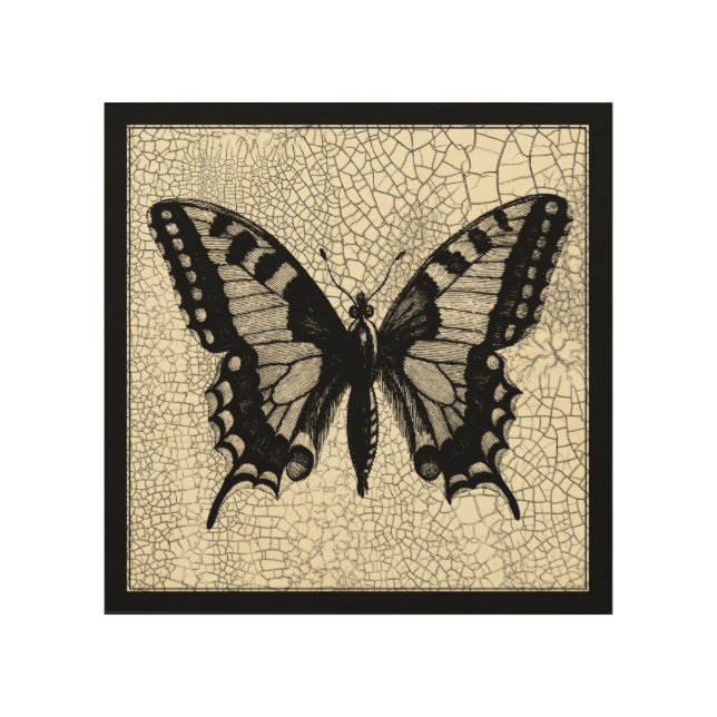 Black and White Butterfly on Cracked Background Wood Wall Art (Front)